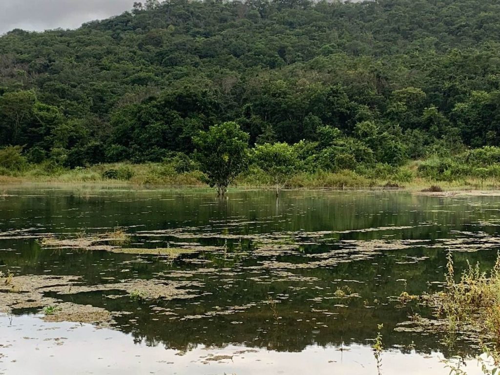 Represa