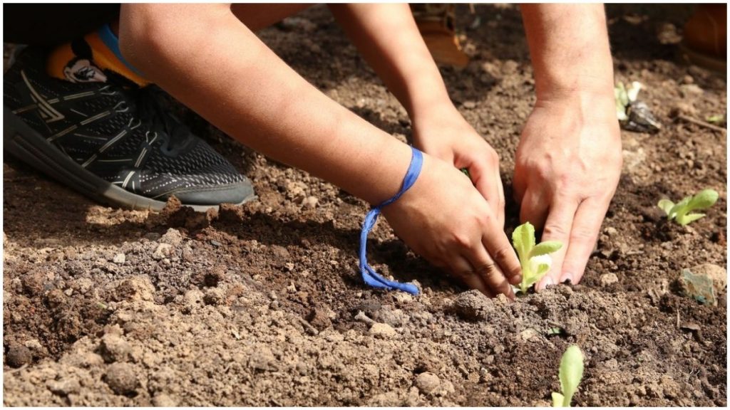 curso educação ambiental