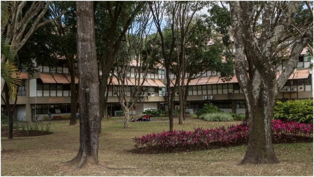 ufmg