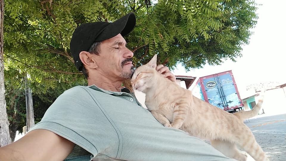 Gato Januário, famoso pelo meme 'opa não é bolo', morre no Ceará