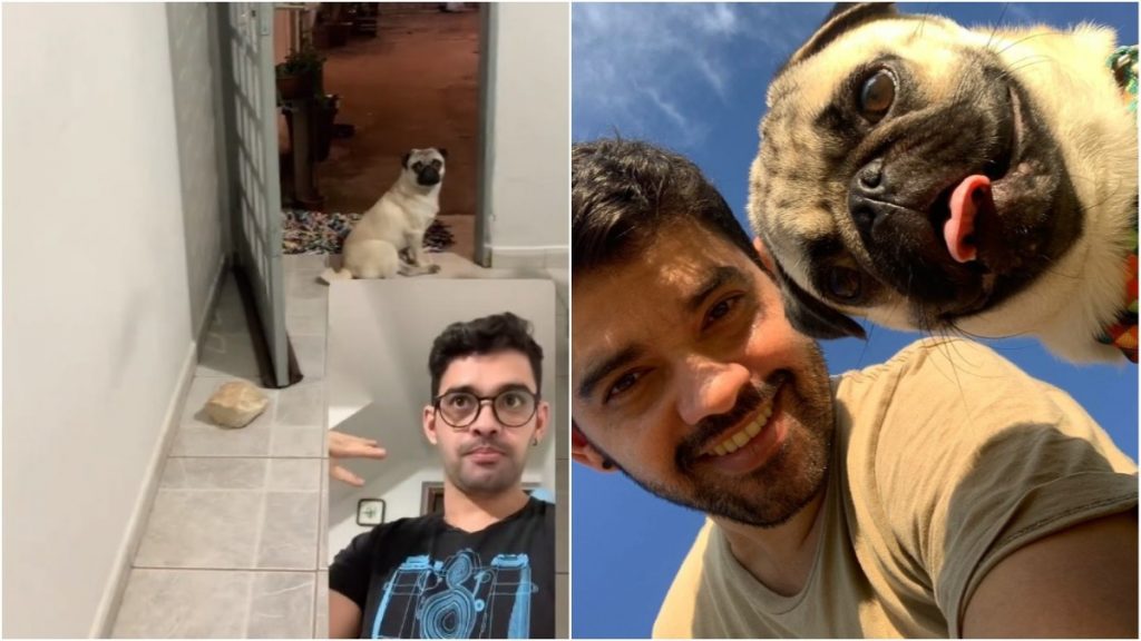 cachorrinho libras
