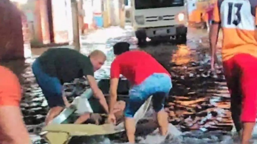 jovem peixe elétrico amapá