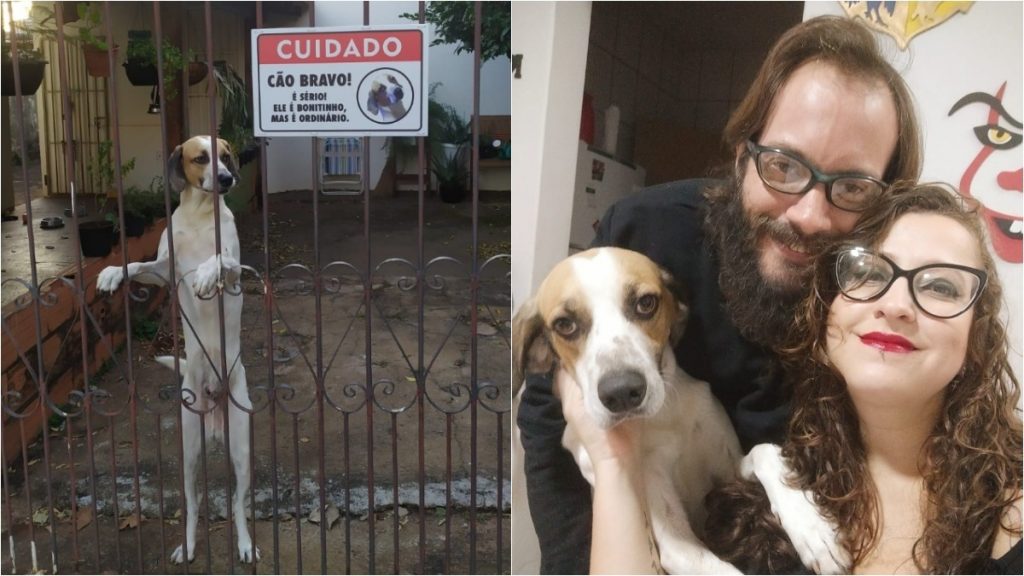 Zero tem 4 anos e não gosta muito de desconhecidos