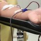 Doação de sangue testemunha de jeová