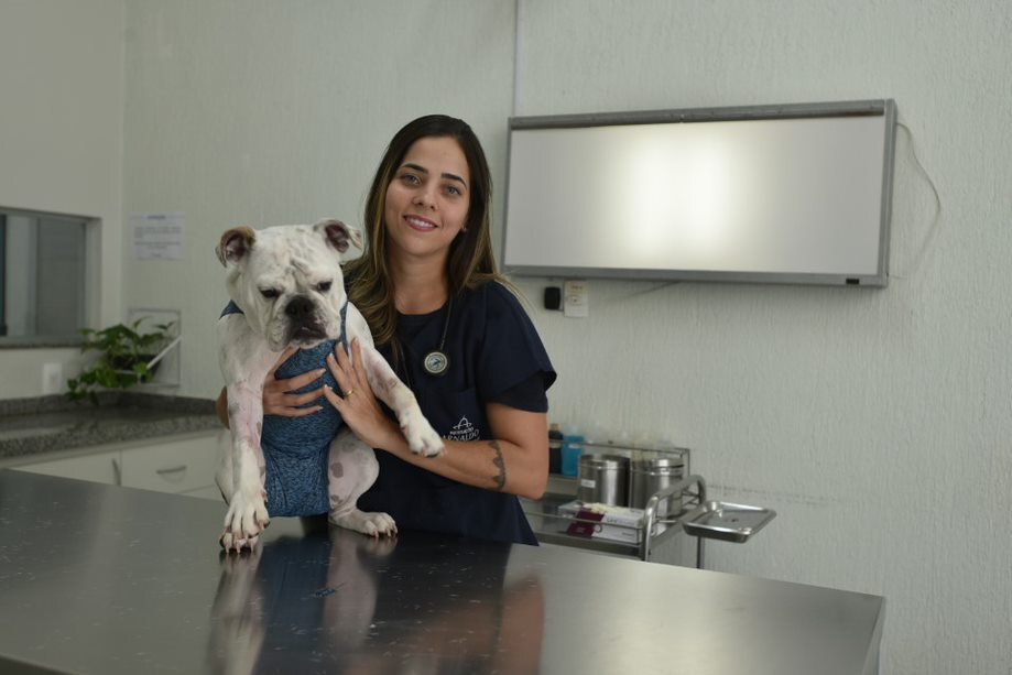 Faculdade Arnaldo oferece experiência prática para estudantes em maior hospital veterinário universitário da Grande BH