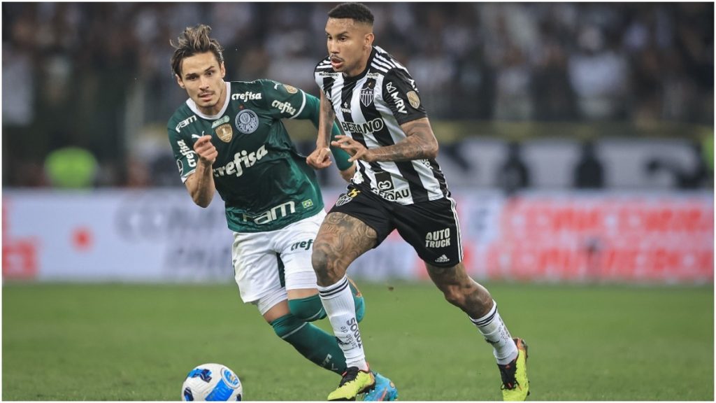 galo palmeiras libertadores