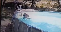 menino salva mãe piscina