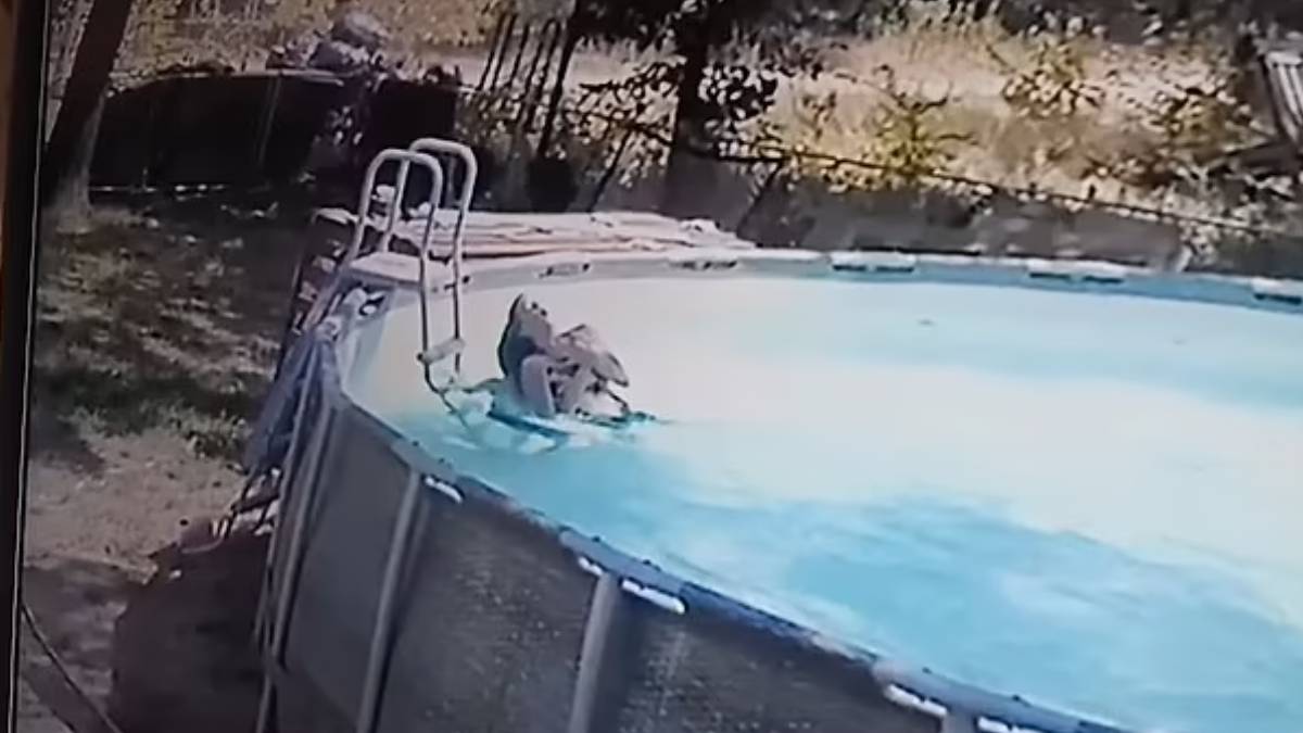 menino salva mãe piscina