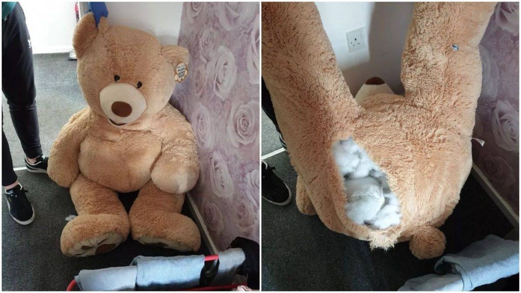 urso pelúcia gigante ladrão