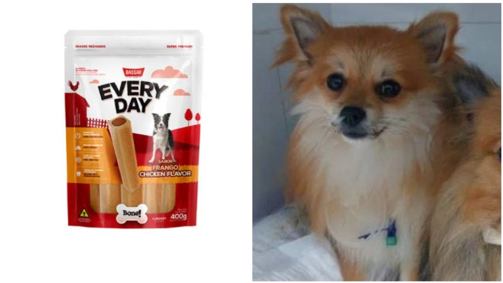 cães intoxicados