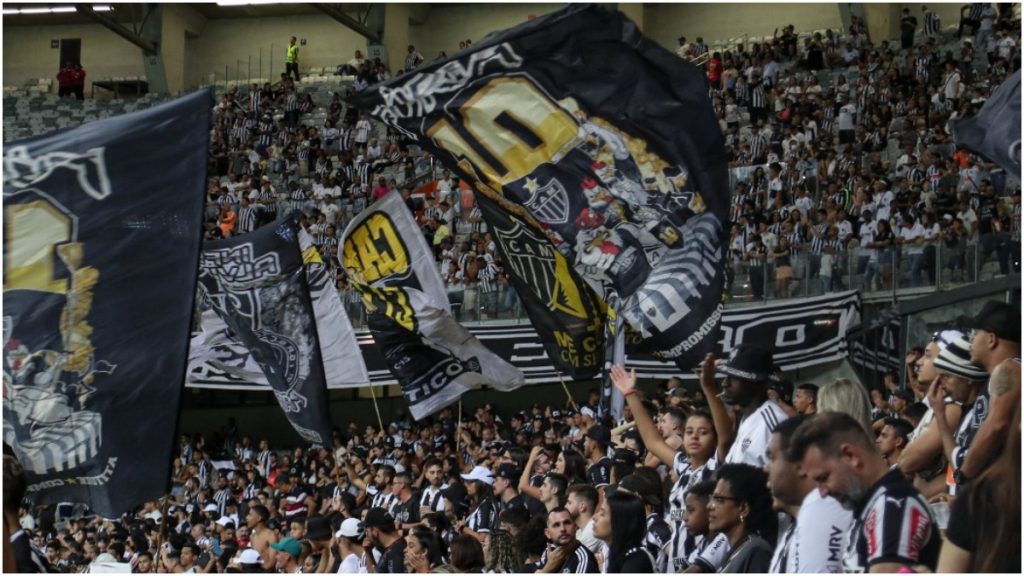 dia de galo projeto