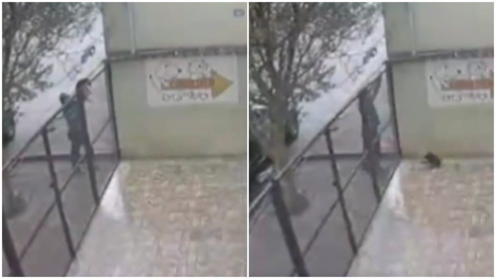 homem arremessa cão portão