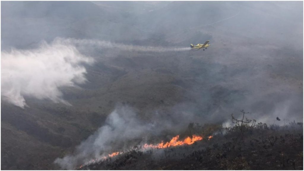 incendio rola moça