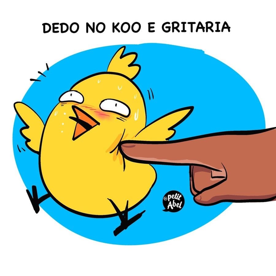 Koo: Rede social vira meme entre brasileiros: Liberei para quem quiser