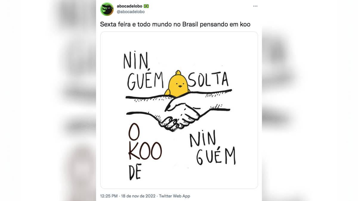 Koo: Rede social vira meme entre brasileiros: Liberei para quem quiser