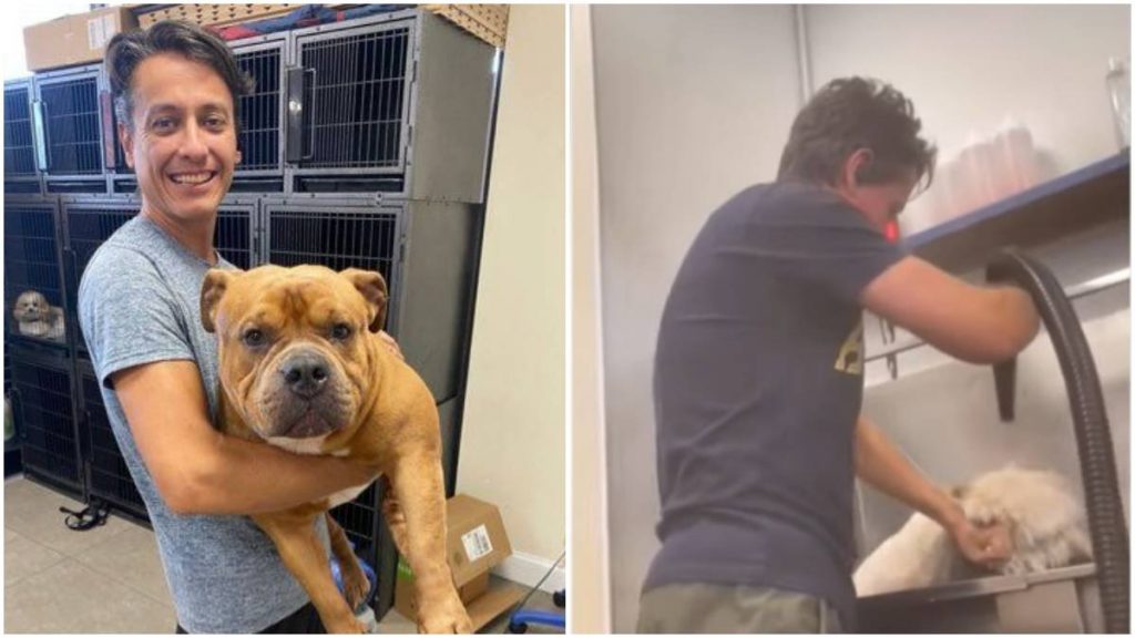 brasileiro preso maus-tratos animais