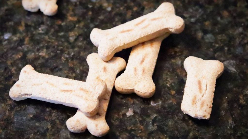 Petiscos de Cachorro