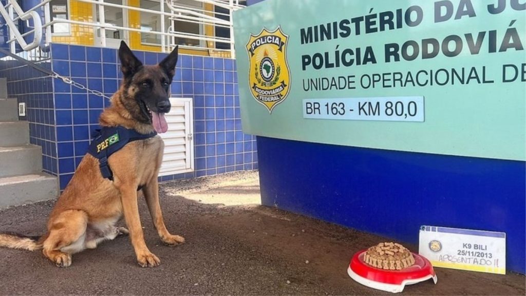 Cão farejador ganha festa de aposentadoria