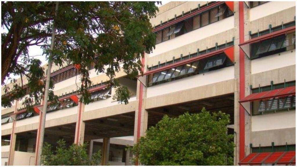terapia de casal ufmg
