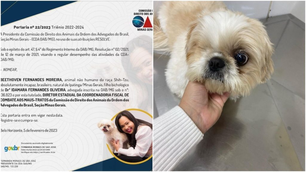OAB/MG nomeia cão diretor