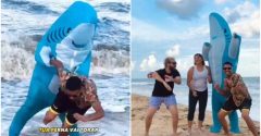 ataque tubarão campanha estudantes