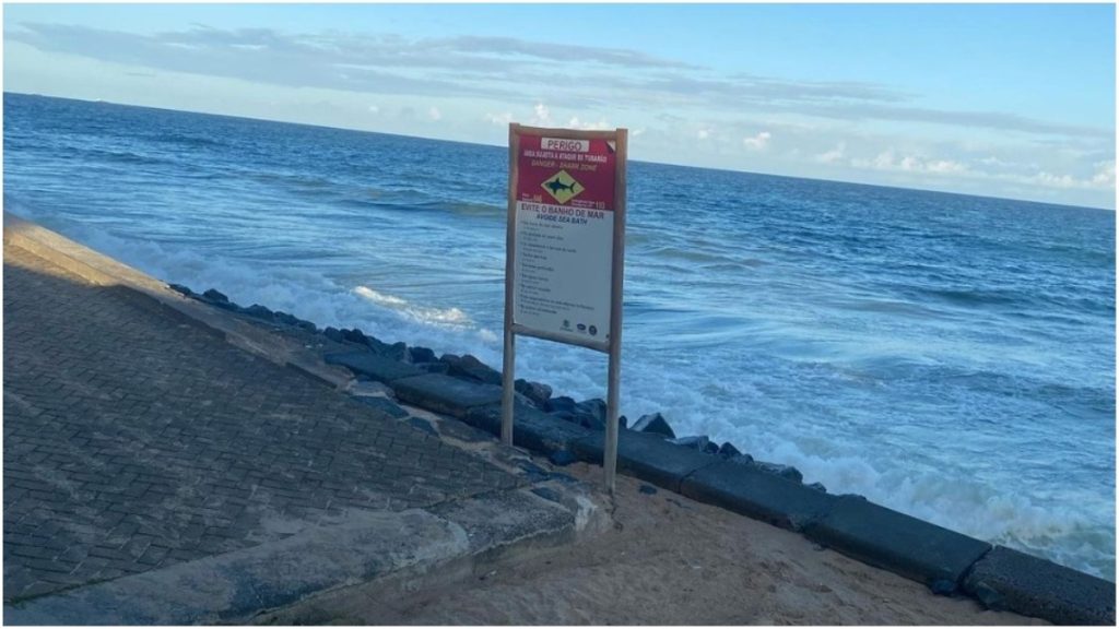 cuidados ataques tubarão