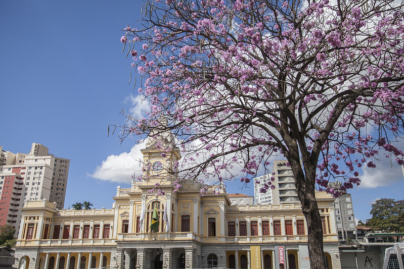 Visitantes se emocionam com museus de BH. Veja o que há de bacana por lá -  Cultura - Estado de Minas