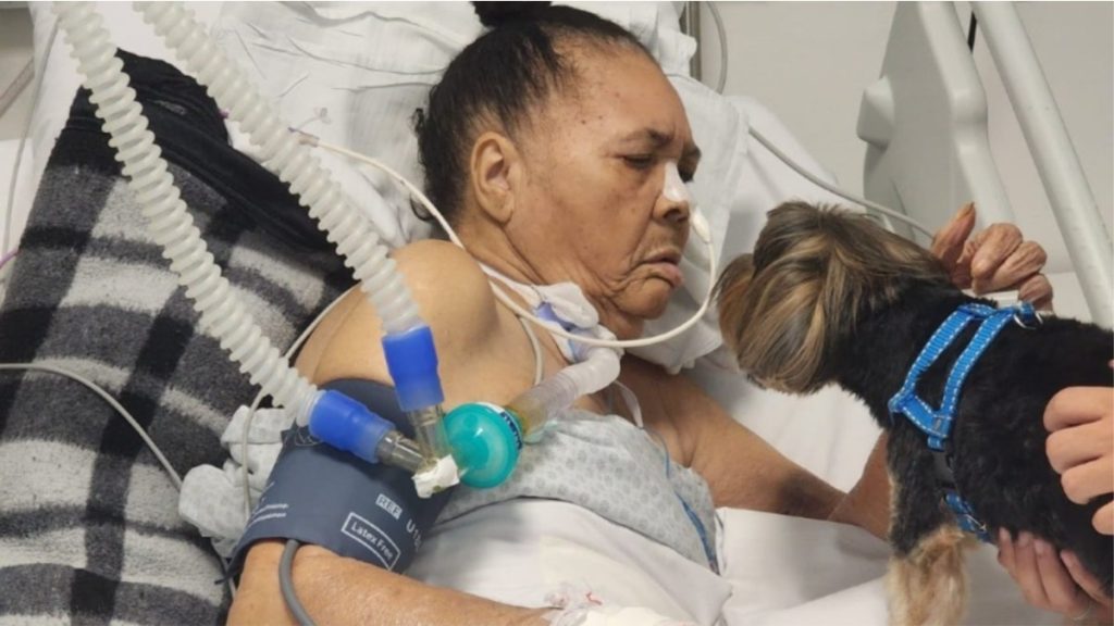 Cachorro visita idosa em hospital