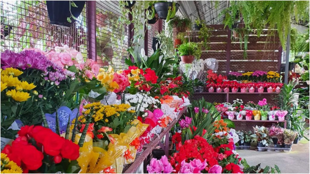 Floricultura bh