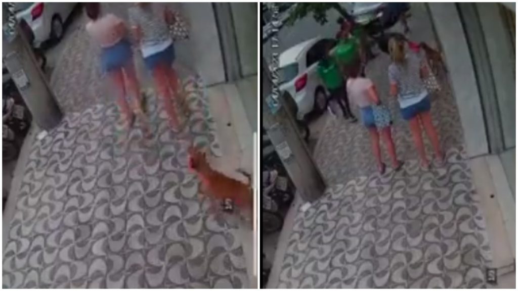 caramelo furta biquíni