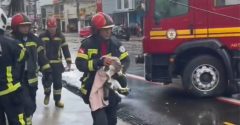 gato resgatado por bombeiros