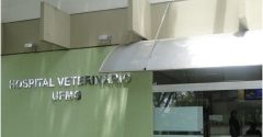hospital veterinário ufmg