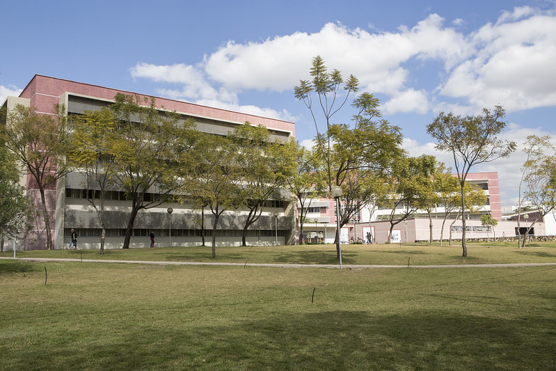 ufmg reajusta bolsas acadêmicas