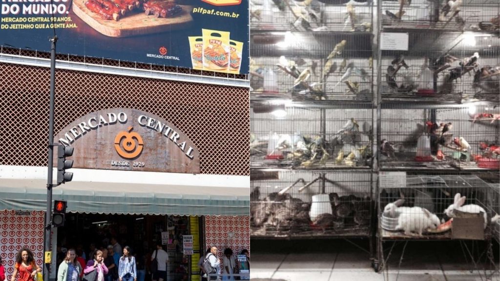mercado central