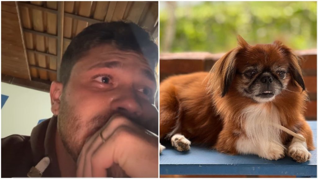 Gustavo Tubarão e cachorro