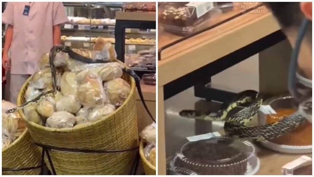 Cobra em supermercado
