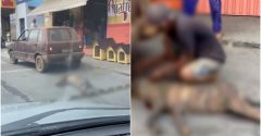 cachorro arrastado pelas ruas de betim