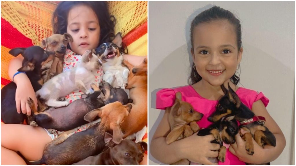Encantadora de pinschers? Garotinha viraliza ao 'ninar' animais