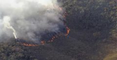 incêndio parque nacional da serra do gandarela