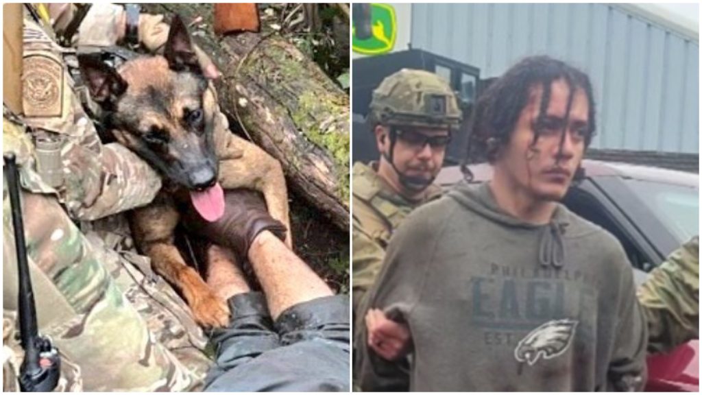 Colagem com Danilo Cavalcante e Yoda, o cão