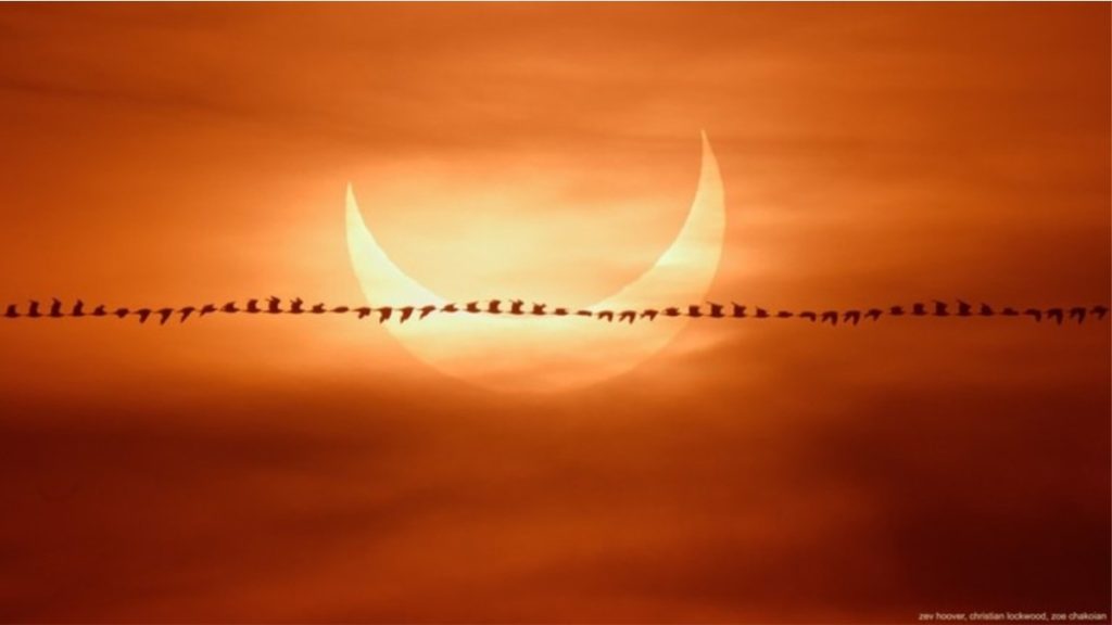 eclipse solar