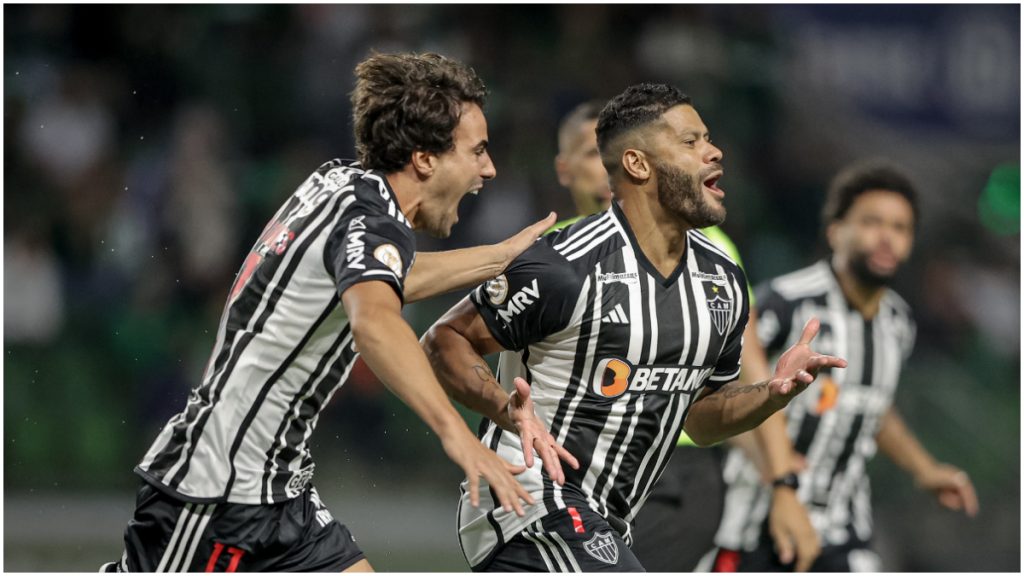 galo palmeiras