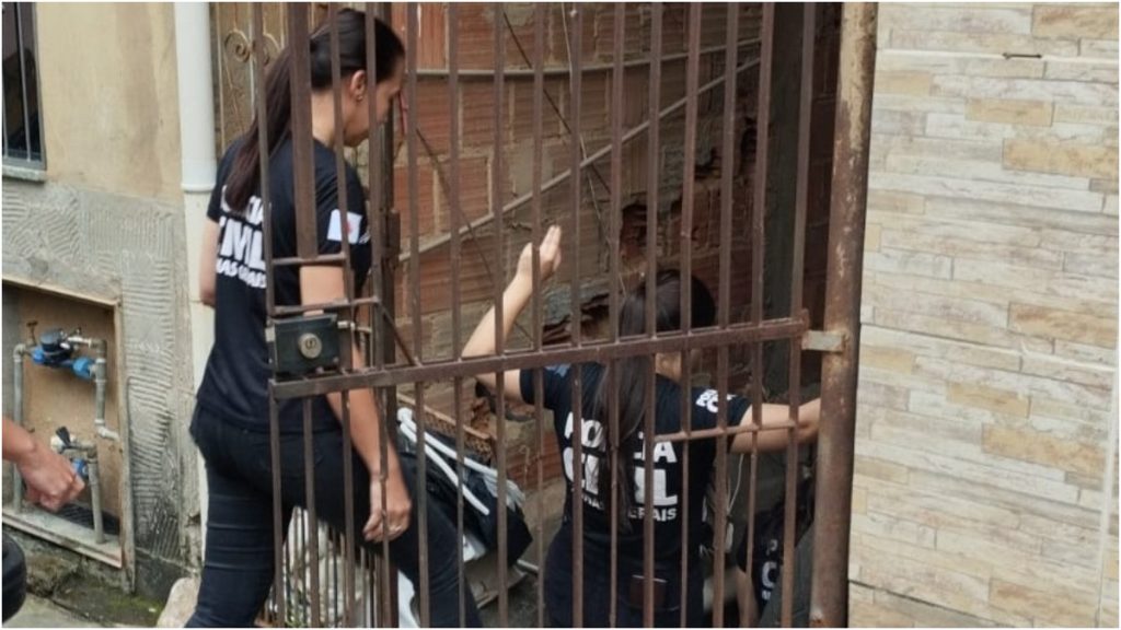 mulher presa sequestro de bebês