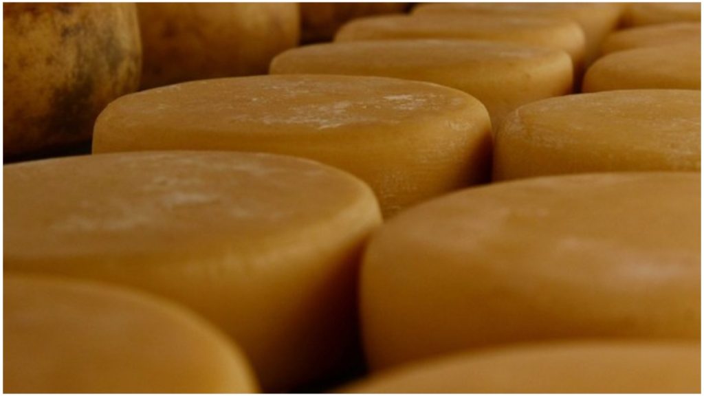 queijo