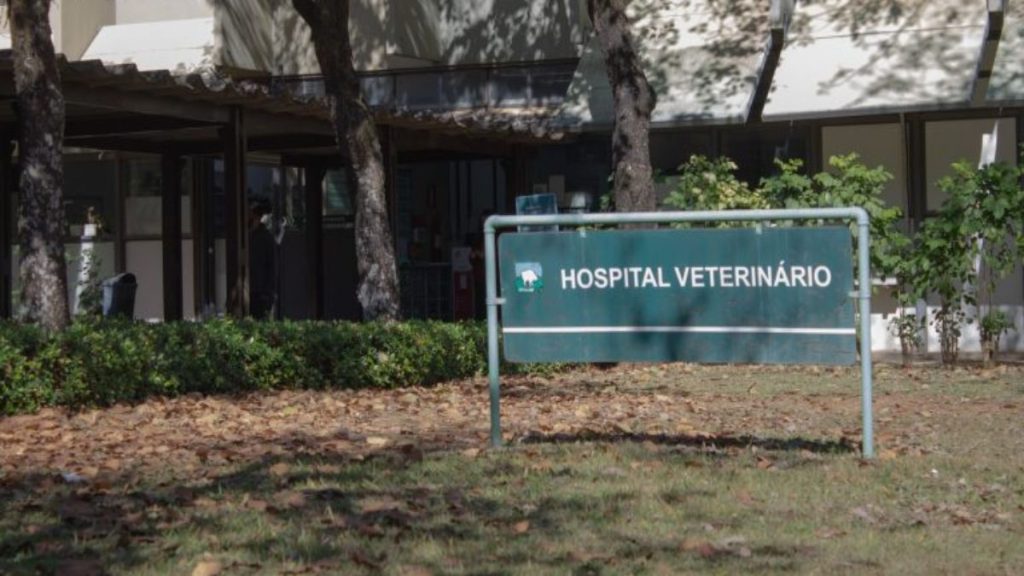 hospital veterinário ufmg