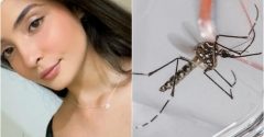 adolescente morre dengue