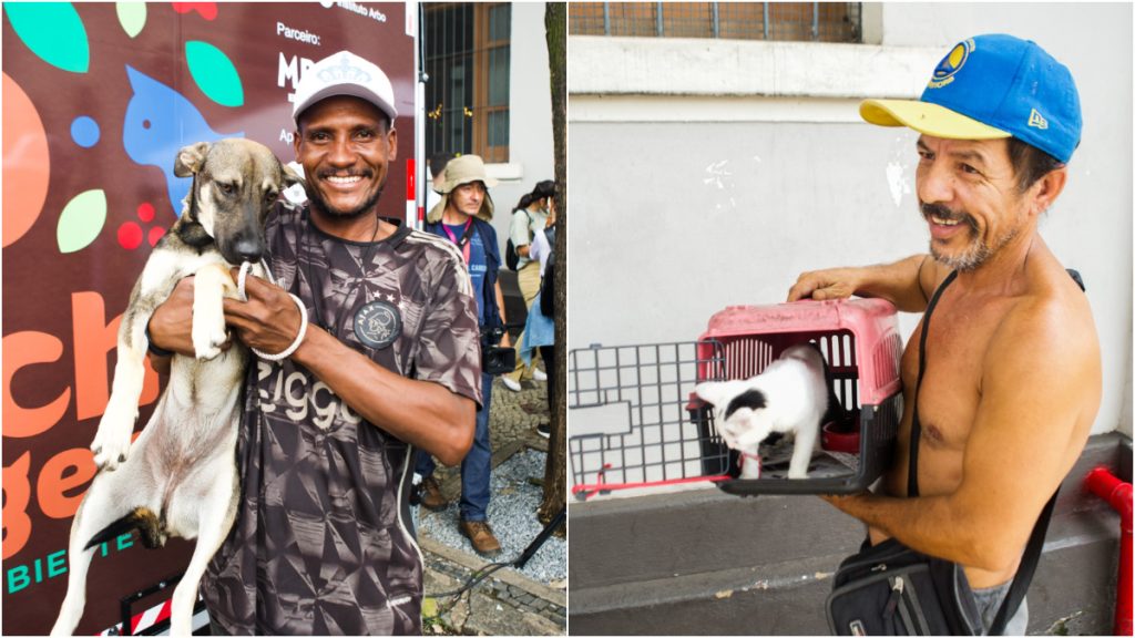 projeto atendimento cães de rua