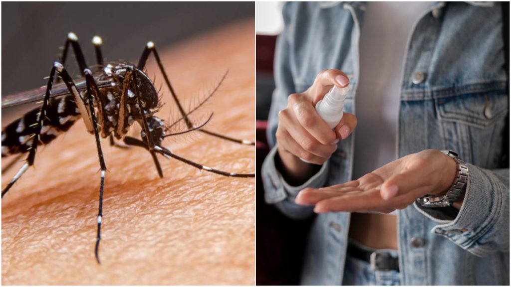 dengue repelente