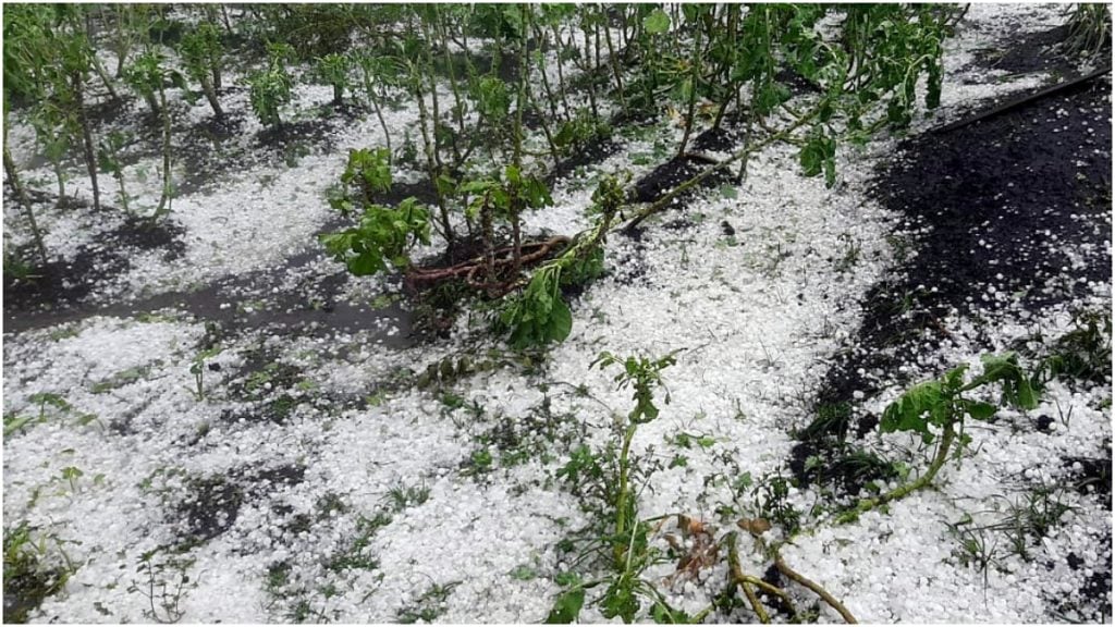 tempestade granizo