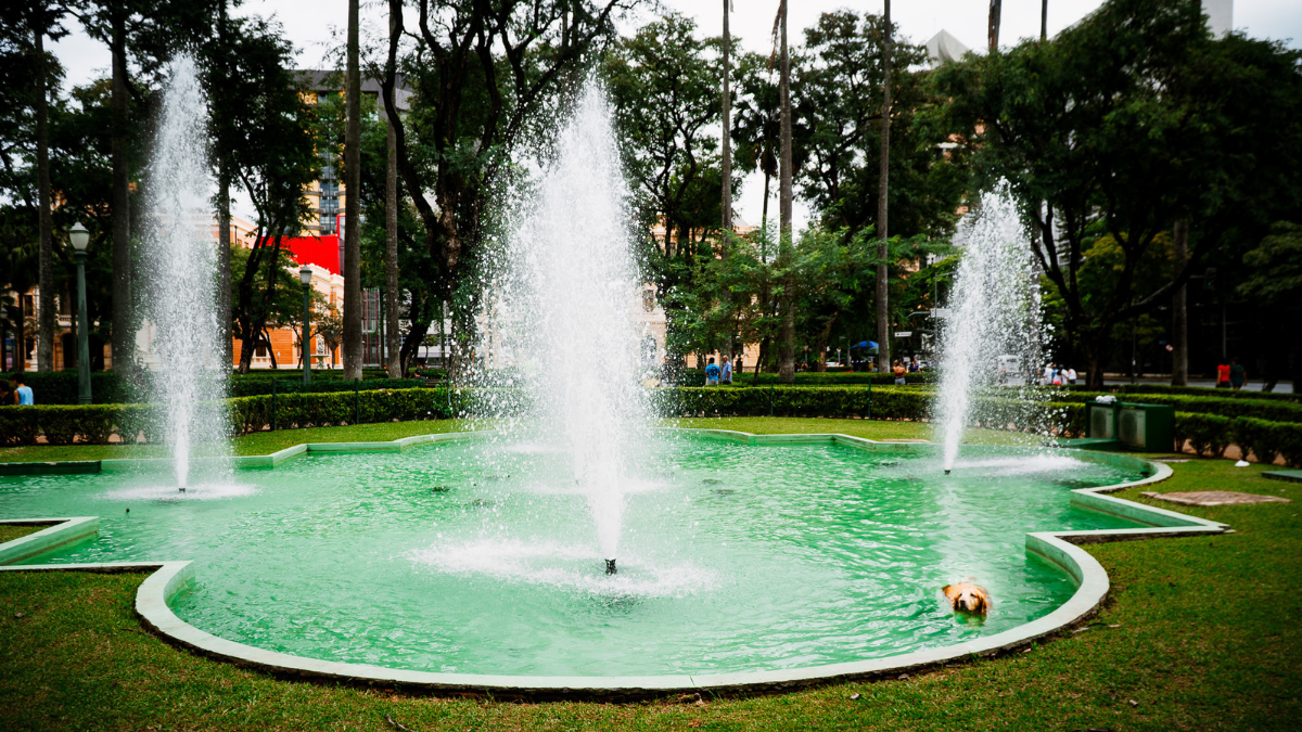 Cachorro se refresca nas fontes da Praça da Liberdade